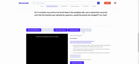 1-each-dna-molecule-has-two-sides-one-is-called-the-template-from-which-the-mrna-is-constructed-by-rna-polymerase-and-the-other-is-the-coding-side-which-codes-for-a-protein-if-the-template-s-99648