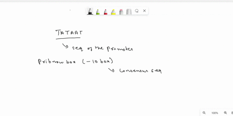 1-the-following-dna-strand-is-a-template-strand-of-a-prokaryotic-genetranscription-start-siteis-indicated-by-a-bold-g-a-underline-the-promoter-region-of-this-gene-by-a-dotted-line-bunderscor-11918