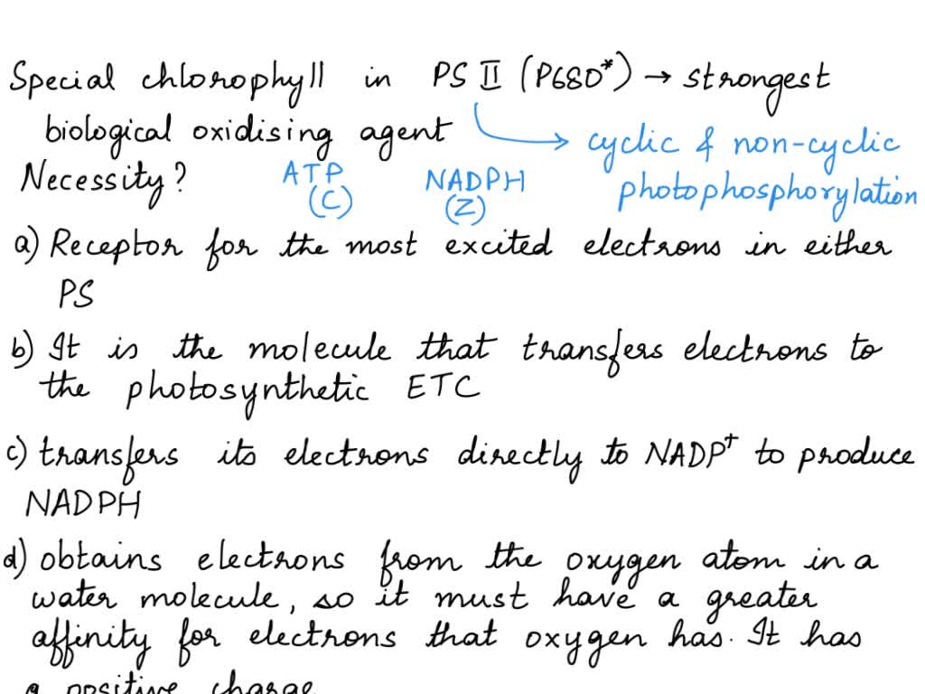 SOLVED: Special Chlorophyll in PSII (P680+) is often considered the