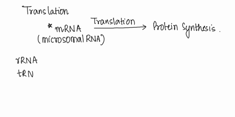 during-translation-the-type-of-amino-acid-that-is-added-to-the-growing-polypeptide-depends-on-the-_____-a-codon-on-the-mrna-and-the-anticodon-on-the-rrna-b-anticodon-on-the-mrna-and-the-anti-59071