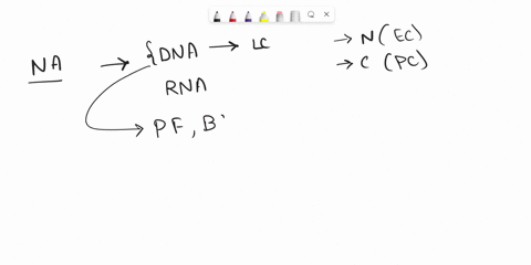 what-would-be-the-complementary-rna-bases-for-this-strand-of-dna-attgac-70834