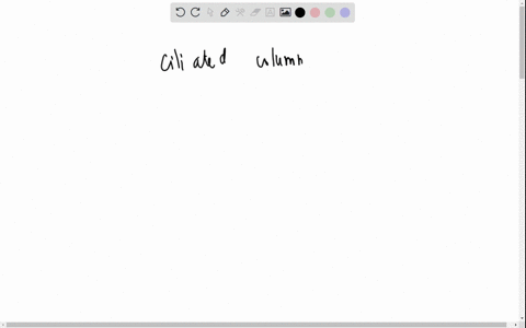 the-epithelial-lining-of-the-uterine-tube-is-multiple-choice-nonkeratinized-squamous-epithelium-stratified-cuboidal-epithelium-ciliated-cuboidal-epithelium-pseudostratified-columnar-epitheli-12353