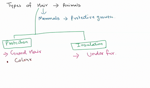 what-two-types-of-hair-are-found-on-most-animals-73697