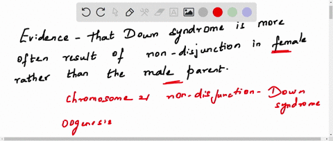what-evidence-suggests-that-down-syndrome-is-more-often-the-result-of-nondisjunction-in-the-female-rather-than-the-male-parent