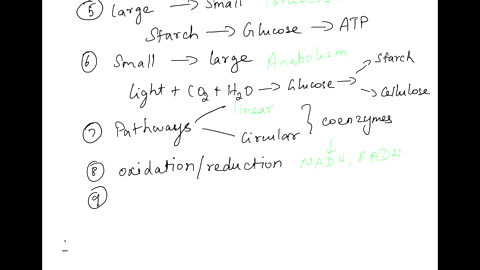 1-plants-and-animals-all-use-proteins-carbohydrates-and-lipids-nucleic-acids-for-biochemical-reactions-which-three-of-these-can-yield-energy-in-the-body-2-define-metabolism-3-breaking-down-l-17984