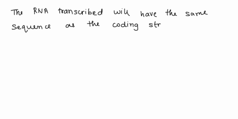 question-3-05-pts-the-sequence-of-the-template-strand-of-a-dna-molecule-is-5-actggcaatg-3-what-is-the-sequence-of-the-rna-transcribed-from-this-dna-5tgaccgttac-3-5cauugccagu-3-5guaacgguca-3-40458