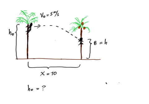 a-monkey-jumps-from-the-top-of-a-palm-tree-to-a-coconut-tree-that-is-10-meters-away-if-the-monkey-jumps-with-a-horizontal-velocity-of-5-ms-and-reaches-the-coconut-tree-at-a-height-of-8-meter-19573