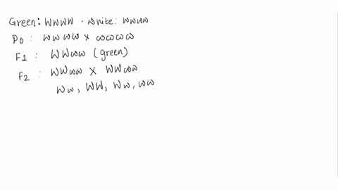 mendelian-ratios-are-modified-in-crosses-involving-autotetraploids-assume-that-one-plant-expresses-t-22006