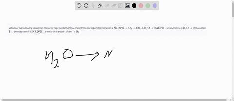 which-of-the-following-sequences-correctly-represents-the-flow-of-electrons-during-photosynthesis-a-53997