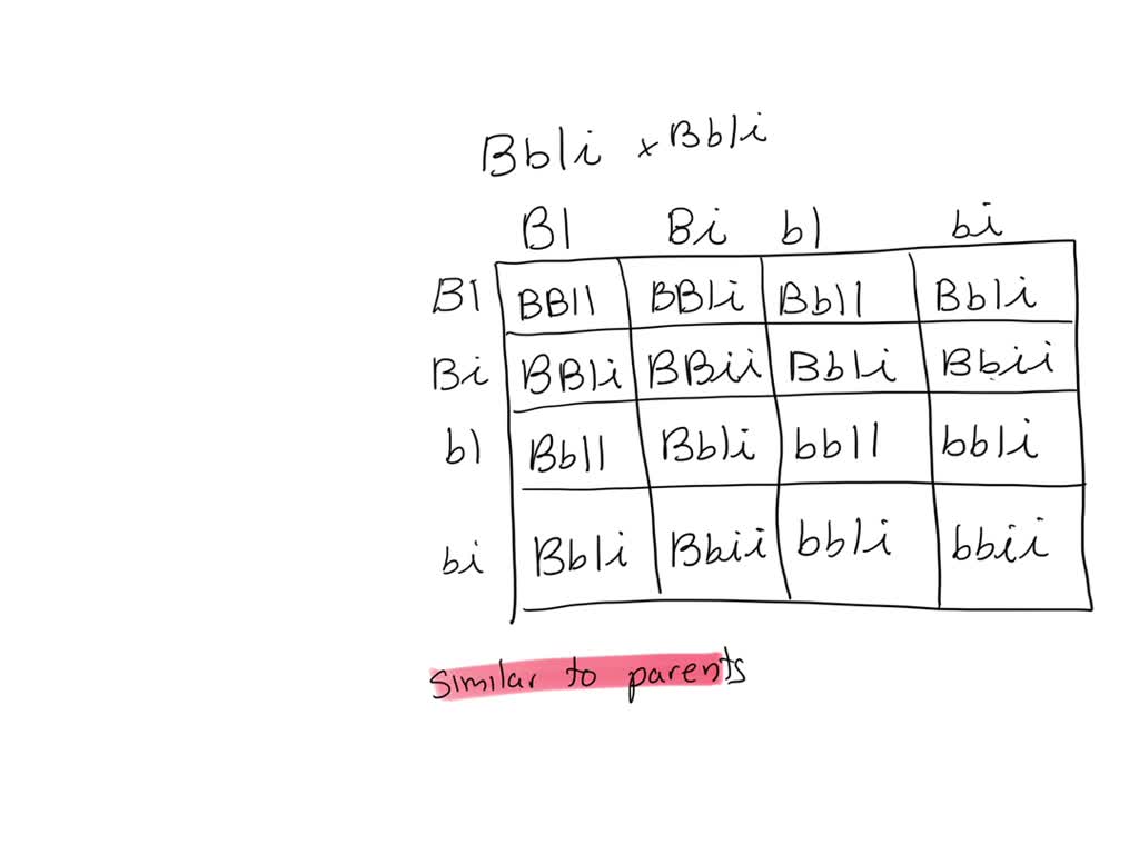 solved-n-dogs-a-dominant-gene-i-determines-white-coat-and-a