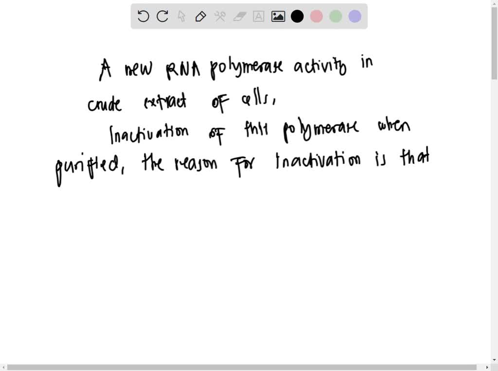 SOLVED Initiation of Transcription in Eukaryotes A new RNA polymerase