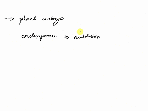 which-of-the-follow-correctly-describe-the-function-of-a-seed-question-31-options-contains-the-plant-embryo-and-a-tissue-such-as-endosperm-to-provide-nutrition-for-early-plant-growth-grows-f-22217