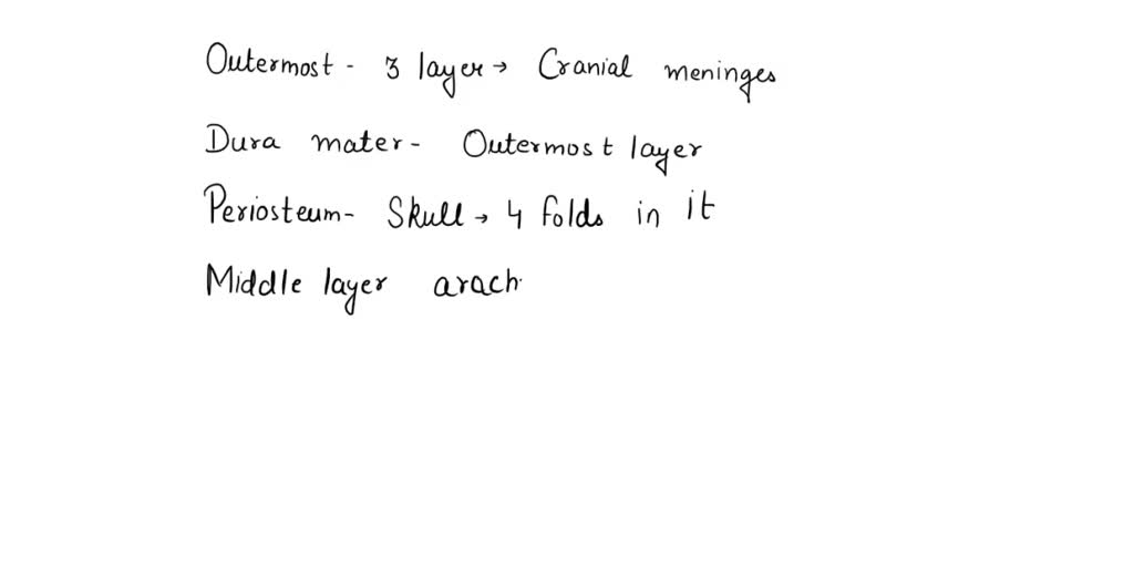 SOLVED: Which are the outermost three layers which is called cranial ...