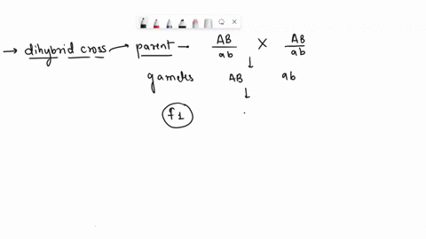 you-perform-the-following-dihybrid-cross-a-b-a-b-x-a-b-a-b-the-a-and-b-genes-control-different-traits-what-phenotypic-ratio-would-you-expect-to-see-in-the-progeny-if-the-two-genes-are-unlink-59303
