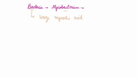 bacteria-in-the-genus-mycobacterium-are-considered-atypical-bacterial-cells-because-they-contain-the-waxy-mycolic-acid-in-their-cell-walls-they-are-gram-negative-they-are-gram-positive-they-07498
