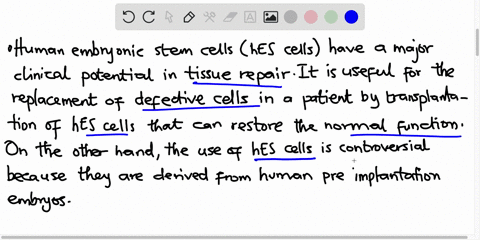 with-many-issues-regarding-stem-cell-research-with-one-of-them-being-the-utilization-of-embryonic-cells-do-you-support-or-oppose-this-and-why-11996