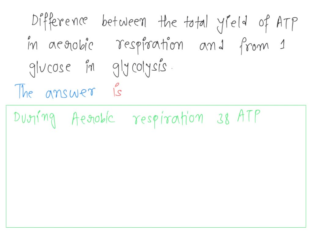 SOLVED: briefly describe the difference between the yield of ATP ...