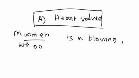 murmur-is-a-disorder-of-a-heart-valves-b-av-node-c-sa-node-d-pulmonary-vein-92198