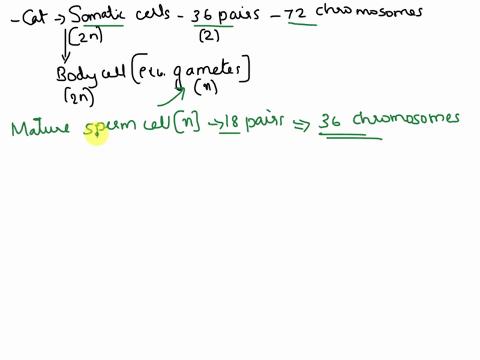 q2-problem-on-counting-chromosomes-and-chromatids-the-cat-felis-domesticus-has-36-pairs-of-chromosomes-in-its-somatic-cells-a-how-many-chromosomes-are-present-in-a-cat-mature-sperm-cells-b-h-64312