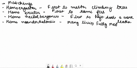 match-the-accomplishment-with-the-species-some-species-names-can-be-used-more-than-once-and-some-may-not-be-an-answer-at-all-homo-ergaster-choose-choose-homo-erectus-first-to-tame-fire-an-im-19486