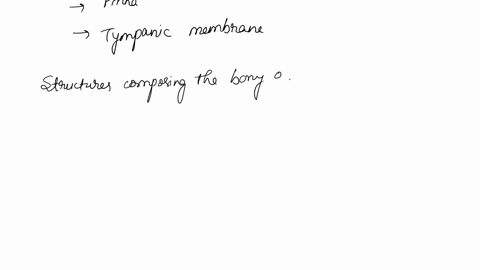 the-ear-hearing-and-balance-15-using-the-key-choices-select-the-terms-that-apply-to-the-following-descrip-tions-placc-the-correct-letler-in-the-answer-blanks-key-choices-m-tympanic-anvil-inc-51246