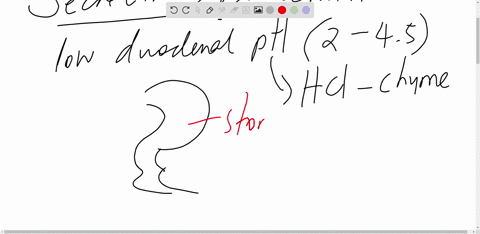 question-12-secretin-is-released-by-the-duodenum-in-response-to-oa-high-ph-chyme-bicarbonate-ion-hco3-release-b-low-ph-chyme-bicarbonate-ion-hco3-release-c-fat-slowed-gastric-motility-dprote-42734