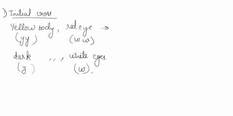4-in-drosophila-white-eyes-and-yellow-body-are-both-recessive-x-linked-mutations_-the-wild-type-alleles_-w-and-y-control-red-eyes-and-dark-body-color-respectively_-f-a-homozygous-yellow-body-77918