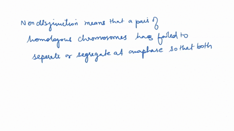 if-the-x-and-y-chromosomes-do-not-segregate-from-each-other-at-meiosis-i-anaphase-i-nondisjunction-the-gametes-produced-will-contain-either-xy-or-no-sex-chromosome-either-xx-or-xy-x-xx-y-and-80313