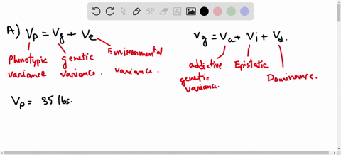for-cattle-body-weight-an-offspring-vs-mid-parent-graph-has-a-slope-of-065-a-if-total-phenotypic-variance-is-35-lbs-what-is-the-environmental-variance-answer-choices-2512lbs-1011lbs-1225lbs-85895