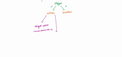 an-organism-that-cannot-tolerate-any-oxygen-gas-in-its-environment-is-alan-aerobe_-obligate-aerobe-facultative-anaerobe_-microaerophile-obligate-anaerobe-question-59-1-point-an-organism-that-01585