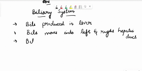 reod-aloud-rate-content-place-the-steps-of-the-biliary-system-in-the-correct-order-source-target-ebile-produced-in-liver-enter-the-hepatic-triads-bile-flows-out-of-the-hepatopancreatic-ampul-96764
