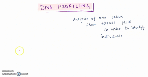 arrange-the-steps-for-dna-profiling-in-order-from-first-to-last-first-compare-dna-profile-to-sample-of-interest-such-as-potential-family-member-or-suspect-obtain-dna-from-a-sample-such-as-bl-16812