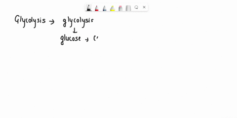 classifv-each-estio-glycolysis-statement-pyruvate-is-the-final-product-adp-is-converted-10-3-aboutu-careers-privacy-policy-lerms-ofuse-1-nelp-description-glucose-initial-reactant-6-phosphale-72702