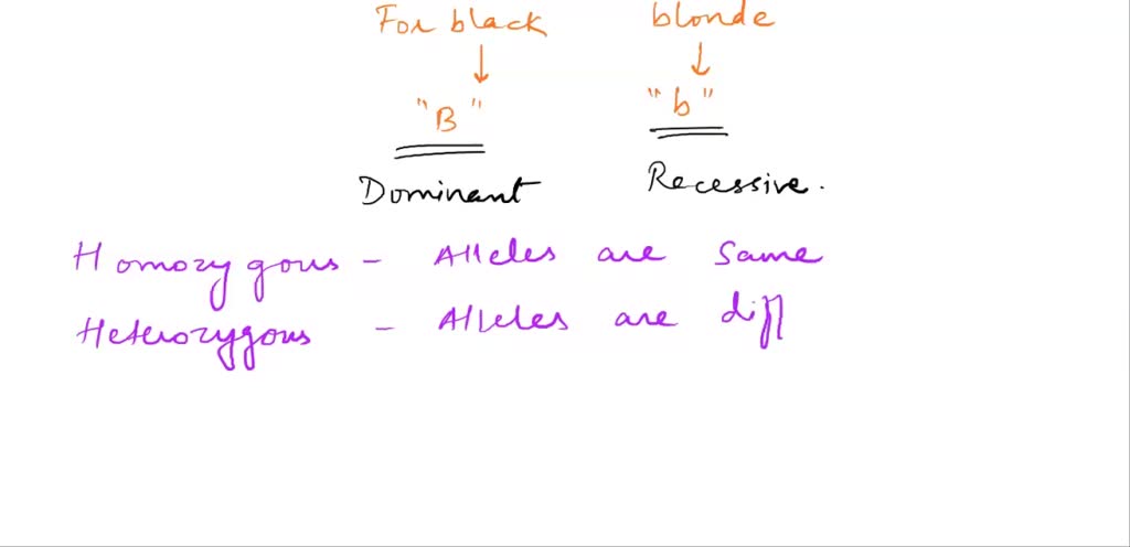 SOLVED: The genotype for black hair color is represented by the letter 