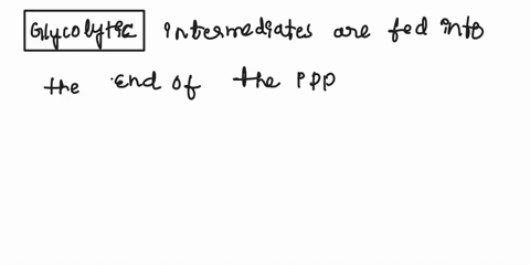 question-13-when-nucleic-acid-synthesis-is-ongoing-intermediates-from-the-pentose-phosphate-pathway-ppp-are-needed-in-order-to-get-them-the-entire-ppp-is-utilized-cycling-through-from-glucos-83277