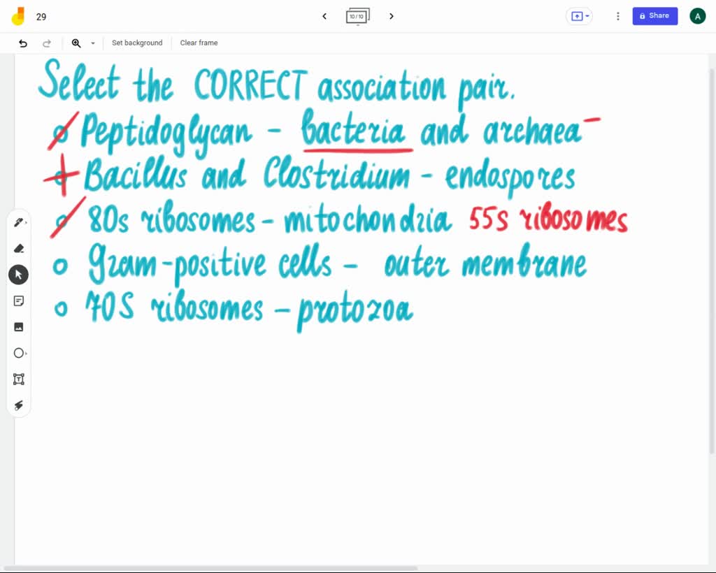 SOLVED: Label the prokaryotic and eukaryotic ribosomes with the ...