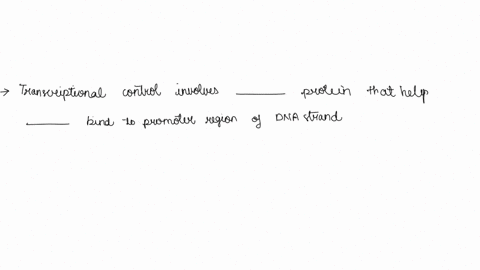 complete-the-following-paragraph-to-describe-transcriptional-control-of-gene-expression-rna-polymerase-transcriptional-control-involves-or-proteins-that-help-bind-to-the-promotor-region-of-d-38178