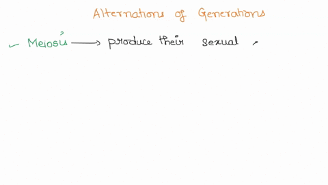 3-alternation-of-generations-eg-plants-algae-alternate-between-multicellular-haploid-and-diploid-stages-sporophyte-multicellular-diploid-stage-meiosis-haploid-spores-mitosis-gametophyte-mult-90603