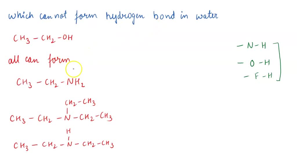 SOLVED Which molecules can form hydrogen bonds with water? CH3CH2CHO