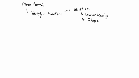 motor-proteins-provide-for-molecular-motion-in-cells-by-interacting-with-which-of-the-following-cellular-structures-components-of-the-cytoskeleton-membrane-proteins-of-the-inner-nuclear-enve-59982