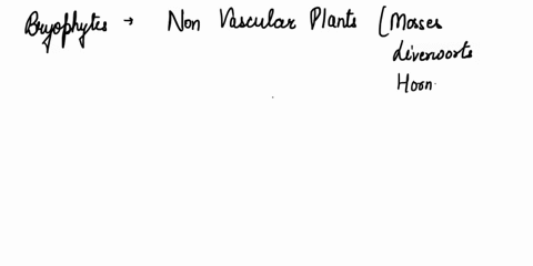 what-is-the-difference-between-bryophytes-and-tracheophytes-76924