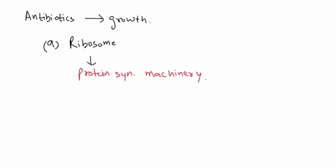antibiotics-can-inhibit-bacterinl-growth-through-varlety-_-eubacteria-specifically-ol-mechunisms_-whkch-the-following-mechanisms-best-target-inhibit-ribosome-function-during-proteln-synthesl-29913