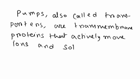 describe-the-structure-and-function-of-pumps-25304