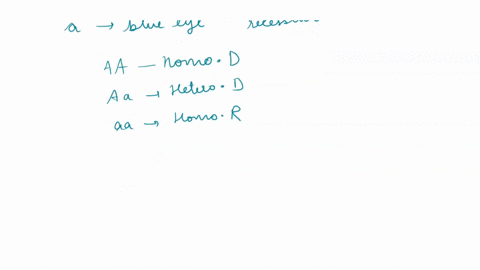 study-the-lecture-notes-for-this-assignment-fill-in-the-punnett-square-below-crossing-a-heterozygous-male-with-a-heterozygous-female-for-eye-color-trait-thus-percent-of-the-offspring-will-ha-21794