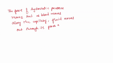how-does-the-low-hydrostatic-blood-pressure-in-the-pulmonary-circuit-affect-the-fluid-dynamics-of-th-88934