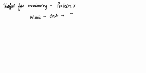 wnich-of-the-following-woud-be-useful-formonitoring-the-locatlon-of-the-gene-x-protein-product-protein-x-in-an-organism-check-al-that-apply-check-all-thet-apply-protein-x-made-in-the-iab-and-96666