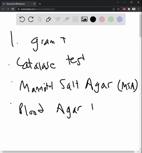 columbia-cna-agar-macc-onkey-agar-carbohydrate-tests-imvc-680-giam-gra-selected-biochemical-tests-for-gram-positive-bacteria-bacitracin-optochin-name-shape-arrangement-pigment-catalase-salt-18452