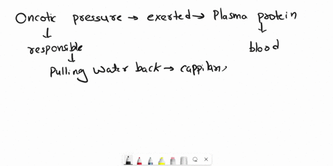 what-component-of-blood-plasma-has-the-greatest-influence-on-colloid-osmotic-pressure-multiple-choice-plasma-electrolytes-blood-gases-plasma-proteins-nonprotein-nitrogenous-substances-94091