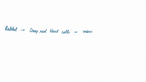 following-immunisation-of-a-rabbit-with-sheep-red-blood-cells-srbc-the-host-mounts-monoclonal-antibody-response-true-or-false-true-false-99543