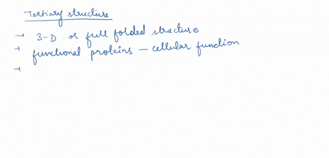 the-fully-folded-structure-of-a-functional-protein-composed-of-a-single-polypeptide-chain-is-referred-to-as-the-_____-structure-primary-secondary-quaternary-tertiary-80497